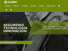 Tablet Screenshot of gaspro.com